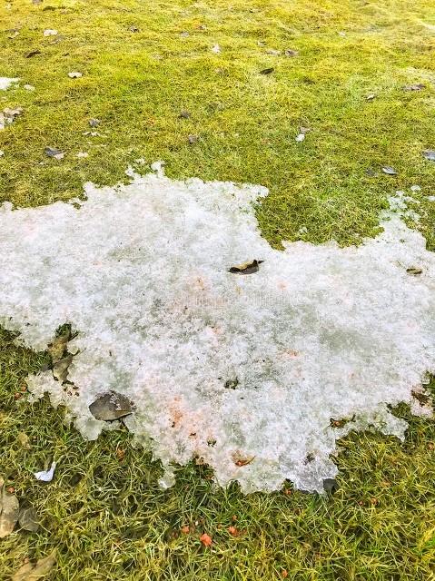 大旱年是196几年_农历八月初一天气预测_旱不旱看八月初一