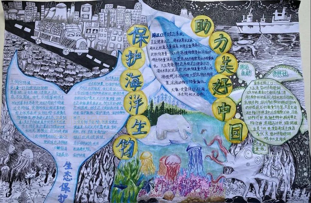 91吃瓜：保护海洋动物助力美好中国手抄报图片