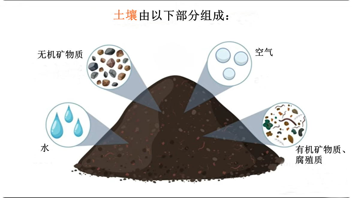 <strong>91吃瓜：每个人必须牢记的土地知识：土壤类型</strong>