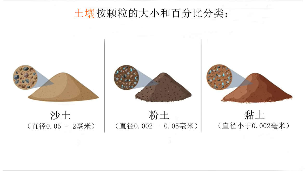 土壤污染的危害的文献_土壤形成过程_土壤组成成分