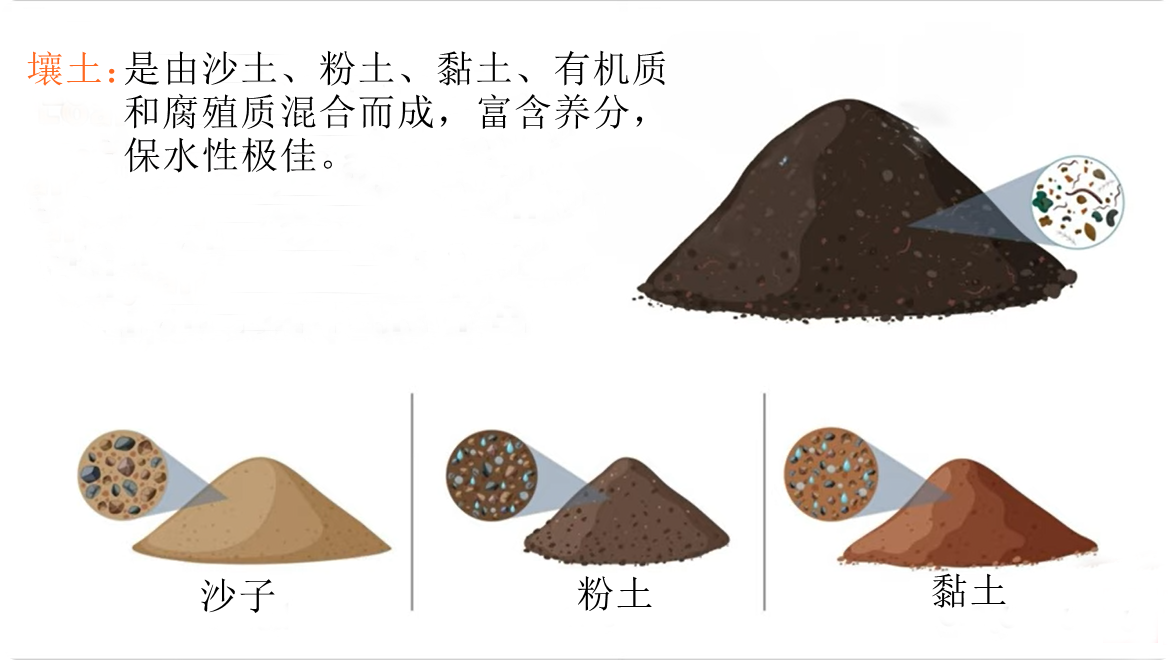土壤组成成分_土壤污染的危害的文献_土壤形成过程