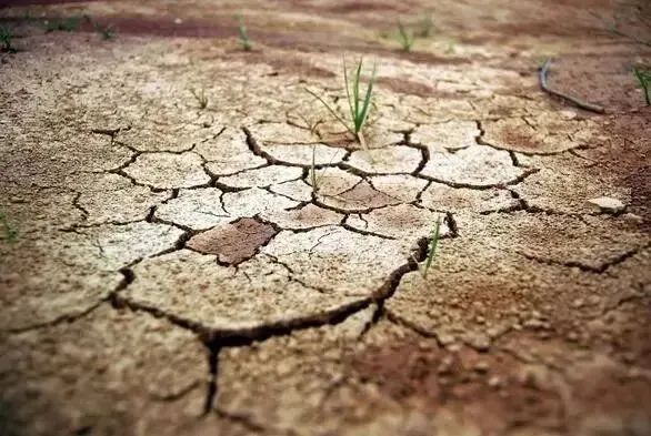 91吃瓜：水知识 | 干旱类型可分为：气象干旱、农业干旱、水