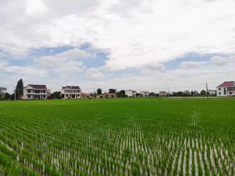 干旱定义_形容土地干旱的词语_干旱类型