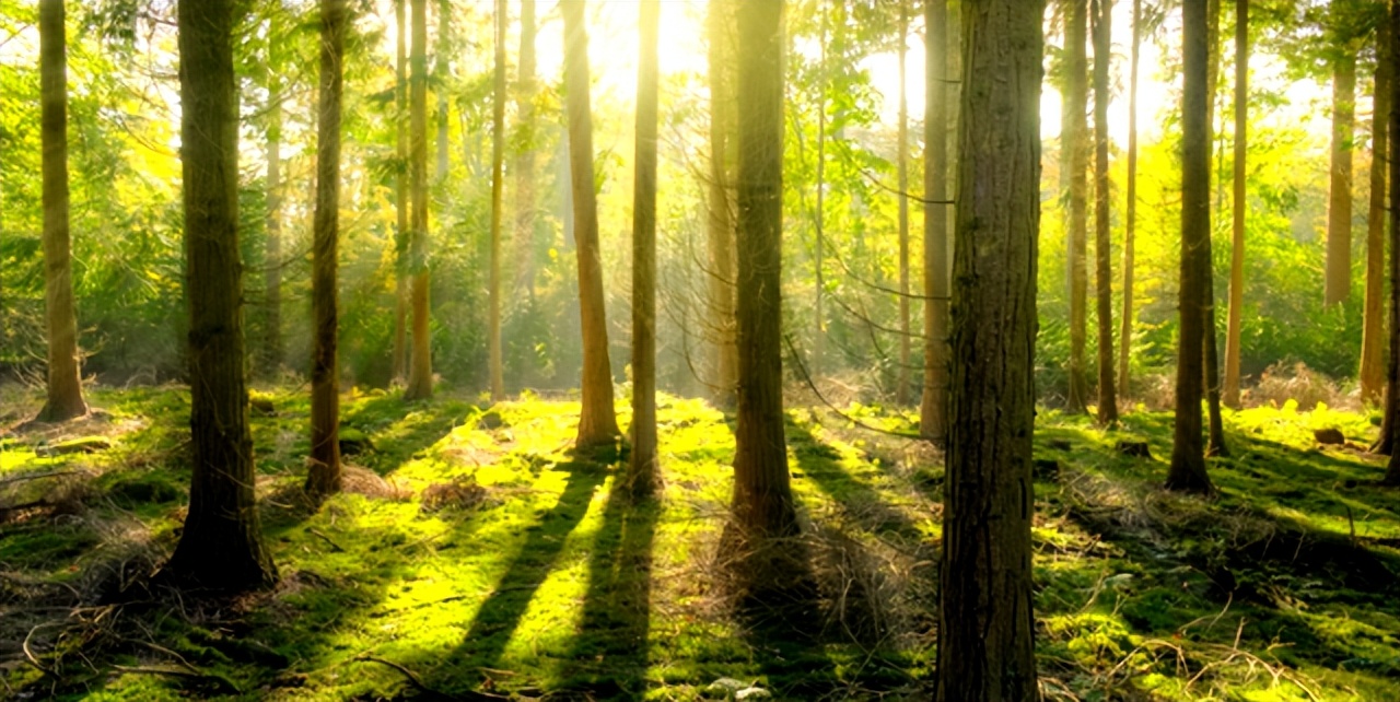 沙漠化问题_沙漠干旱高温环境特征_沙漠化成因与影响